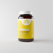 STARTER-KIT - Canasups