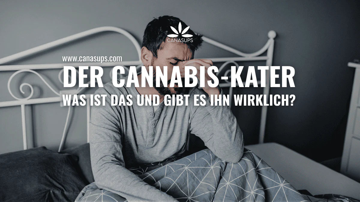Der Cannabis Kater Ursachen Symptome und Vorbeugung