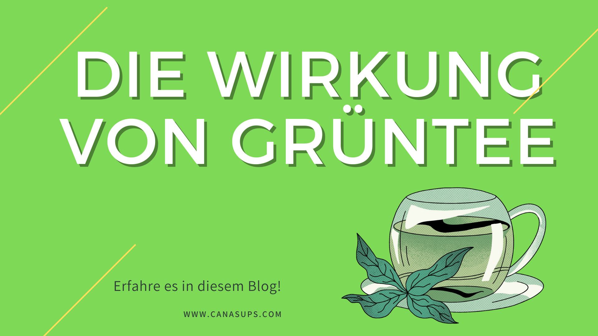 Wirkung Grüntee
