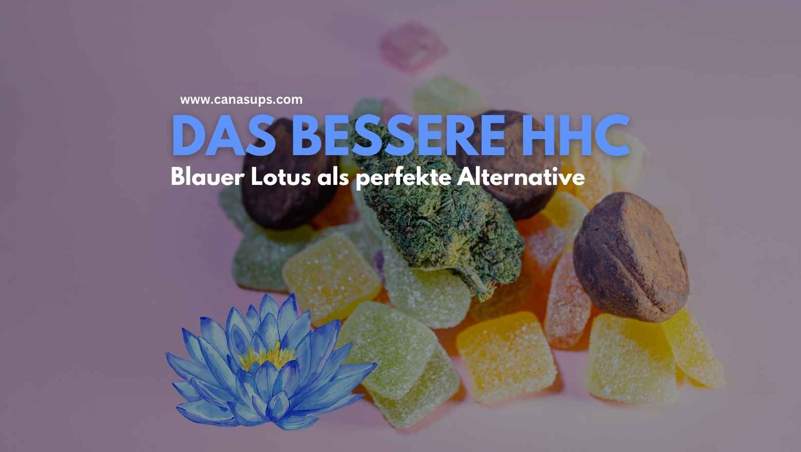 Blauer Lotus – Das bessere HHC?
