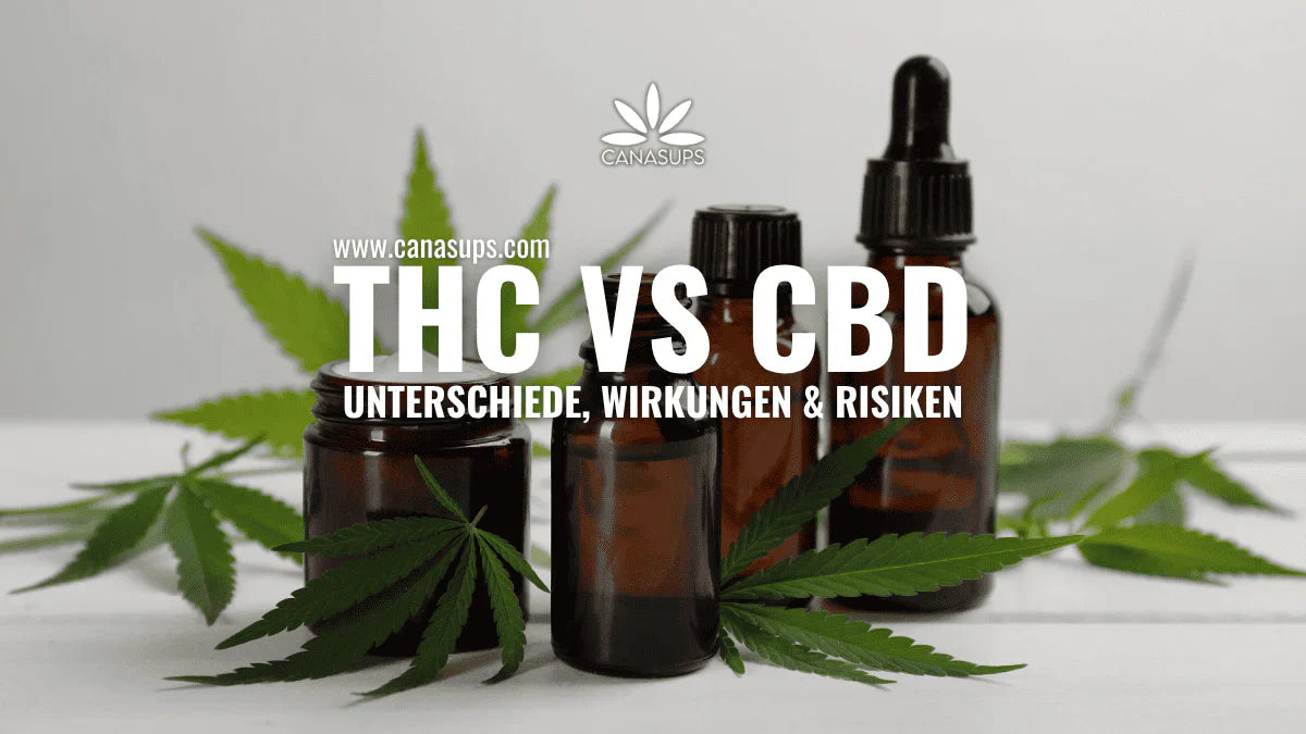 CBD und THC Unterschiede – Wirkung, Einsatz & wichtige Fakten