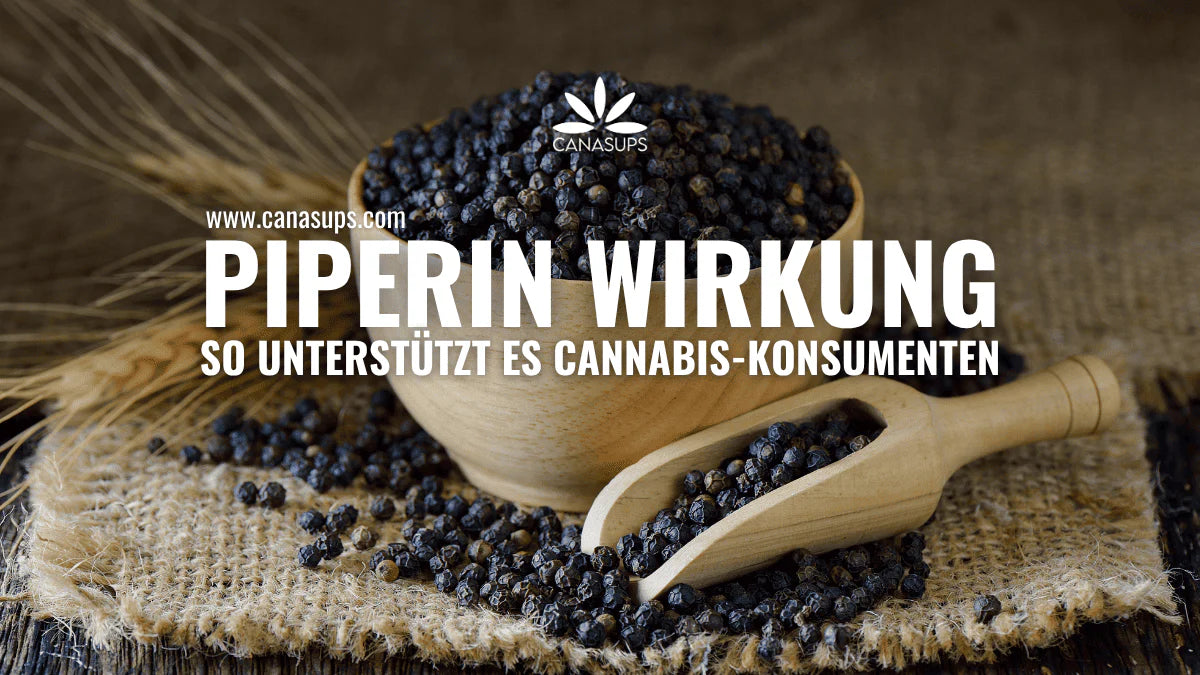 Piperin Wirkung: So unterstützt es Cannabis-Konsumenten