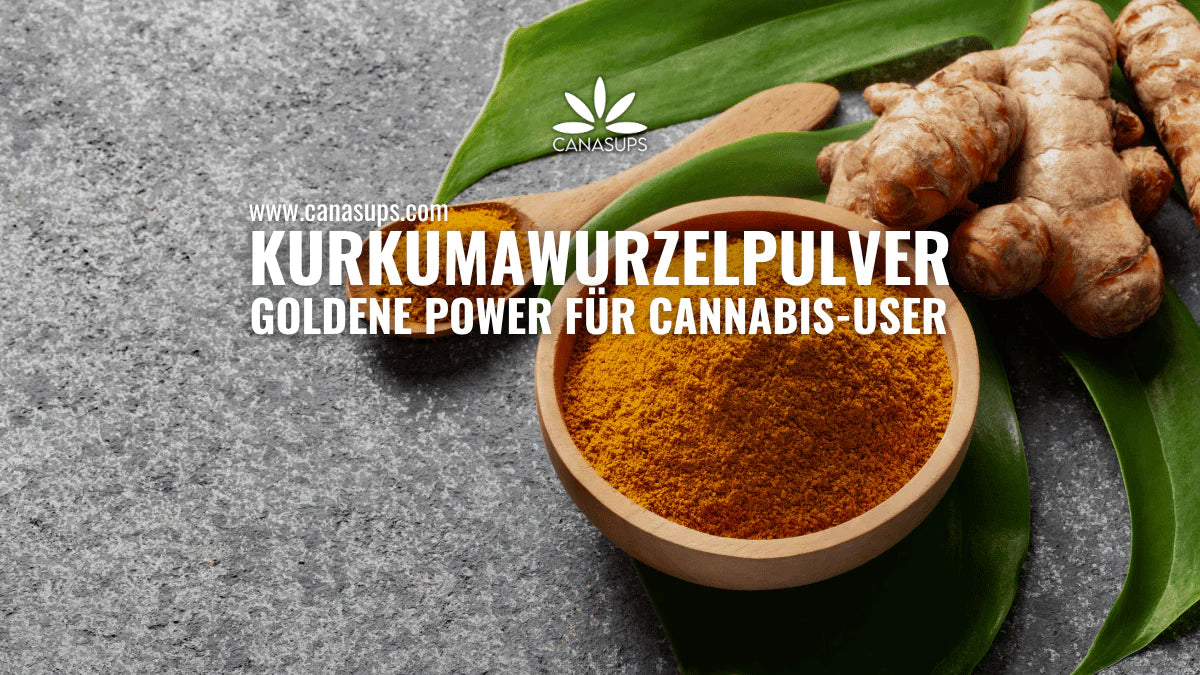 Kurkumawurzelpulver Wirkung: Goldene Hilfe für Cannabis-Konsumenten?