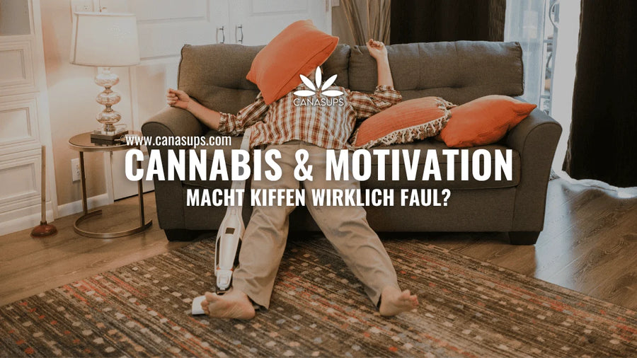 Cannabis und Motivation: Macht Kiffen wirklich faul?