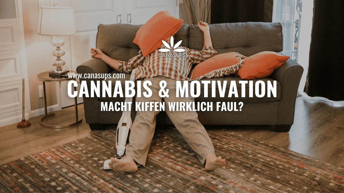 Cannabis und Motivation – macht Kiffen wirklich faul? Titelbild zum Artikel über THC, Antrieb und Amotivationssyndrom