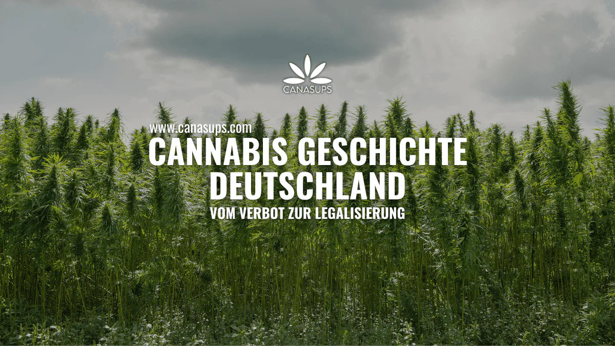 Cannabis Geschichte Deutschland – Hanffeld mit Titelgrafik zum Wandel vom Verbot zur Legalisierung