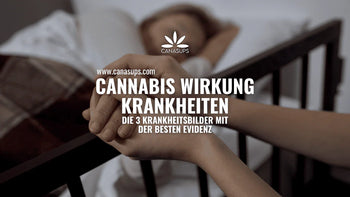 Titelbild zum Blogartikel „Cannabis Wirkung Krankheiten“ mit medizinischer Szene und Text: Die 3 Krankheitsbilder mit der besten Evidenz.