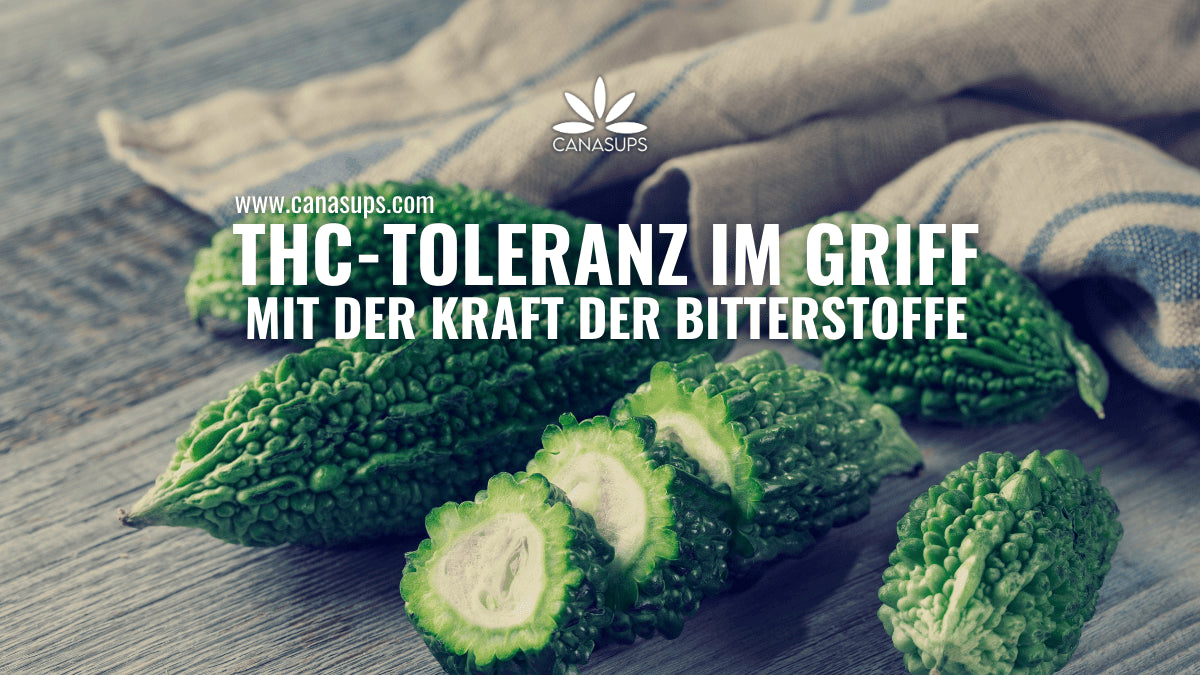 THC-Toleranz senken mit NATURE+ Was Du wissen solltest