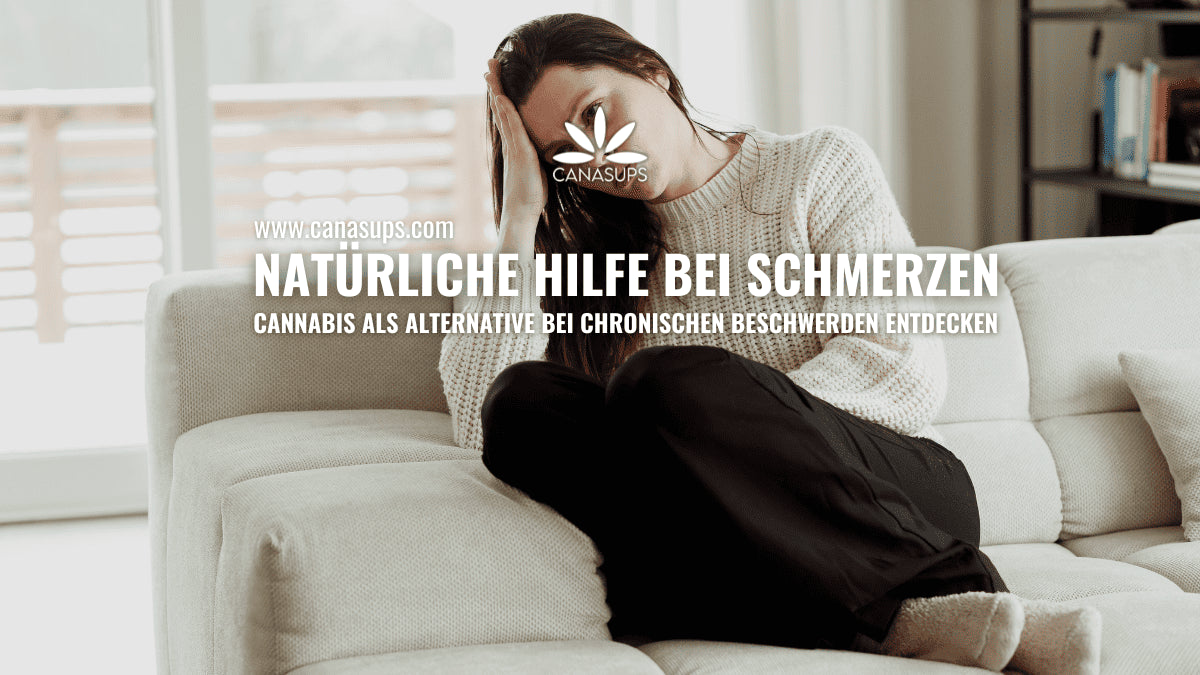 Cannabis und Entzündungen – Was sagt die Wissenschaft
