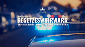 Rechtliche Unsicherheiten in Bundesländern – was Cannabis-Konsumenten wirklich wissen müssen