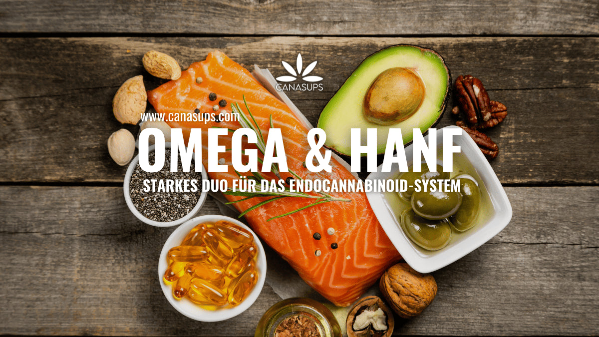 Omega 3 und Cannabis Warum diese Kombination Sinn macht