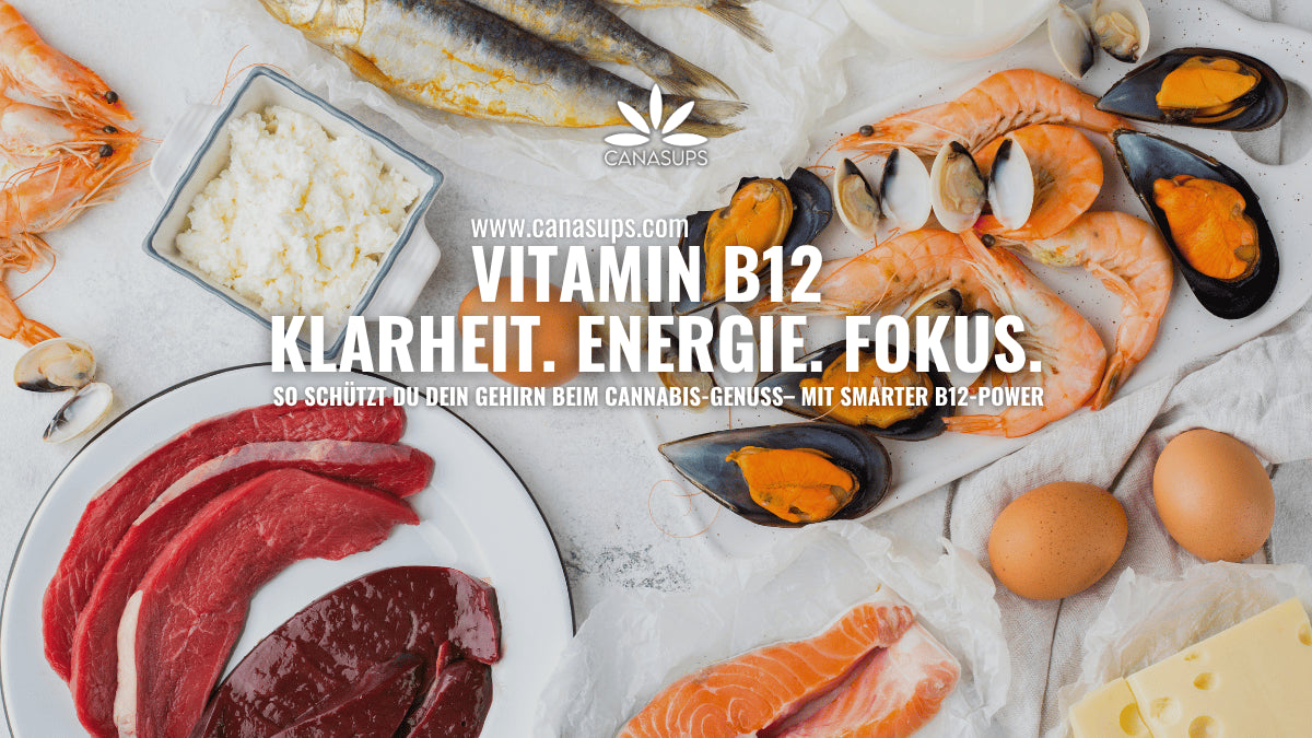 Vitamin B12 – Brain-Boost für Cannabis-Fans
