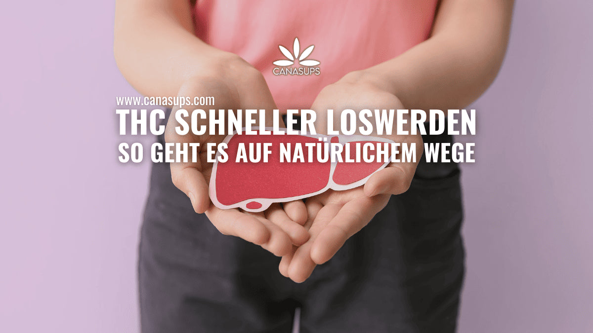 Wie Du THC schneller abbauen kannst – Tipps & Insights