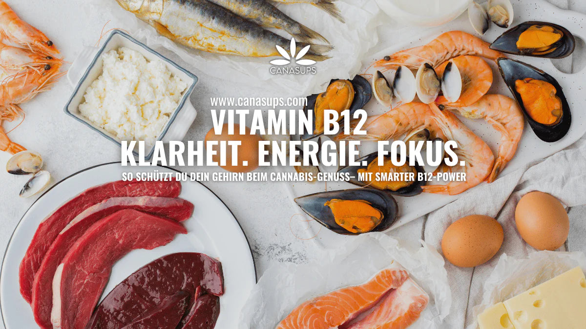 Vitamin B12 – Brain-Boost für Cannabis-Fans