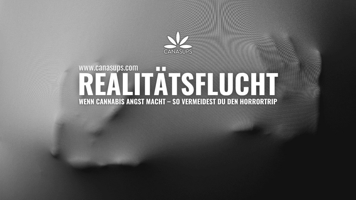 Cannabis Horrortrip vermeiden Ursachen, Symptome, Gegenmaßnahmen