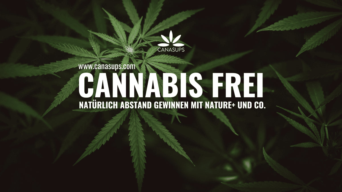 Wie komme ich von Cannabis weg