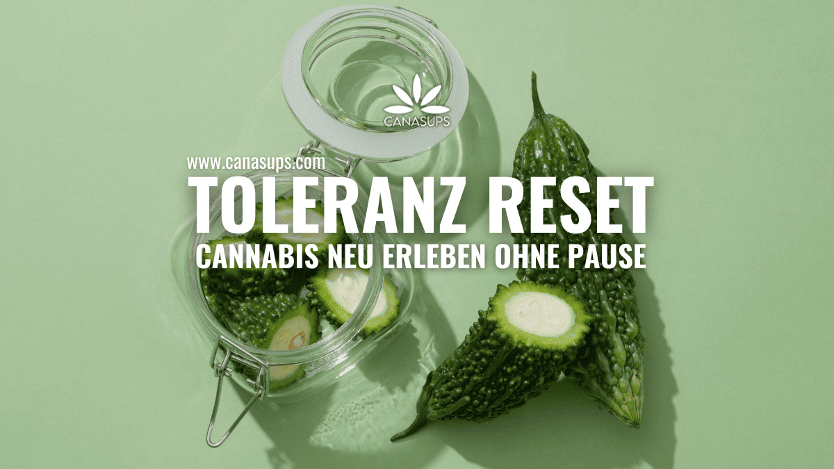 Toleranz senken ohne Konsumpause – geht das wirklich?