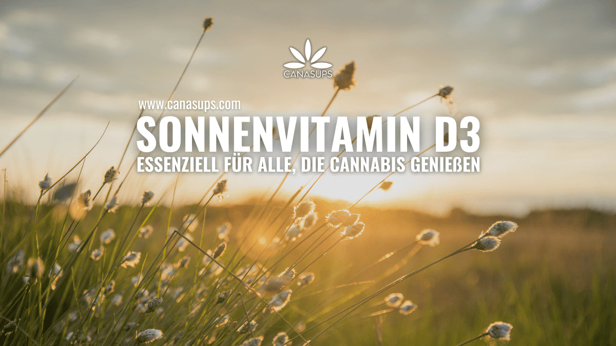 Vitamin D3 und Cannabis So wichtig ist der Sonnenvitamin-Spiegel