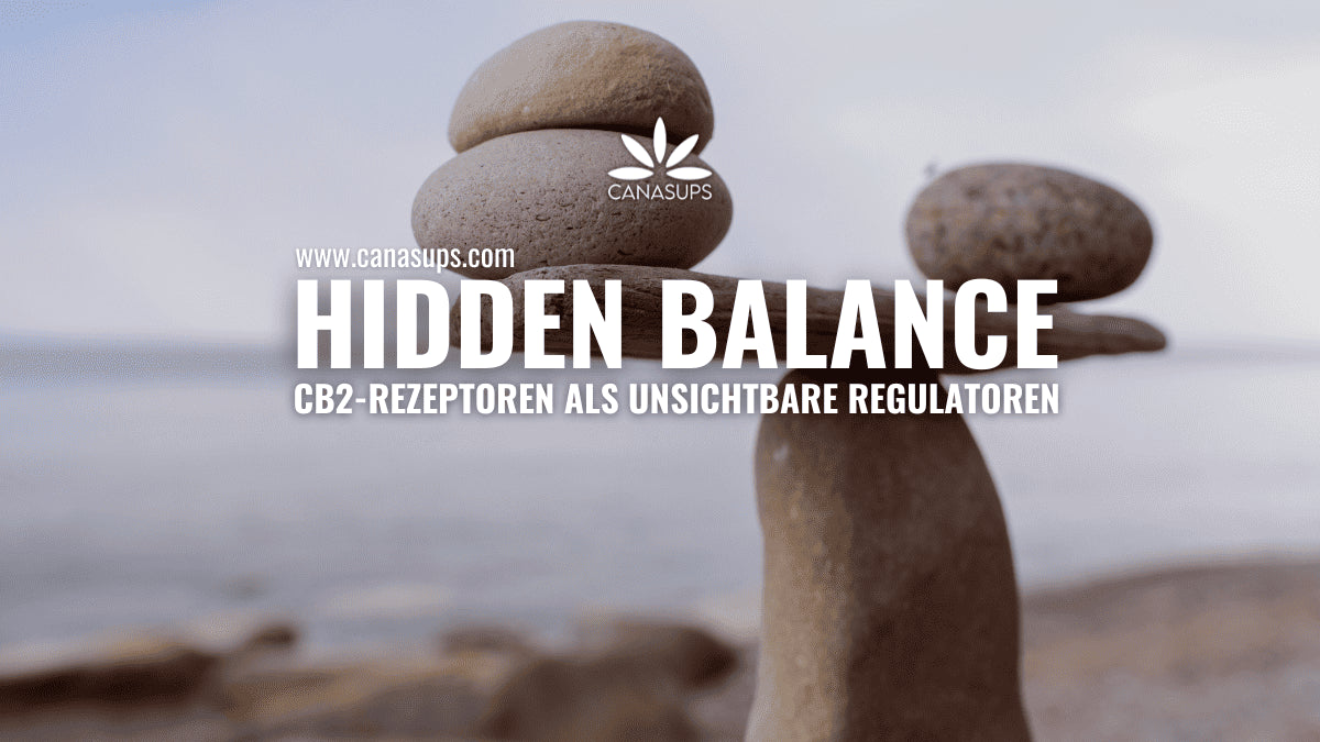 CB2-Rezeptoren – Das verborgene Gleichgewicht des Körpers