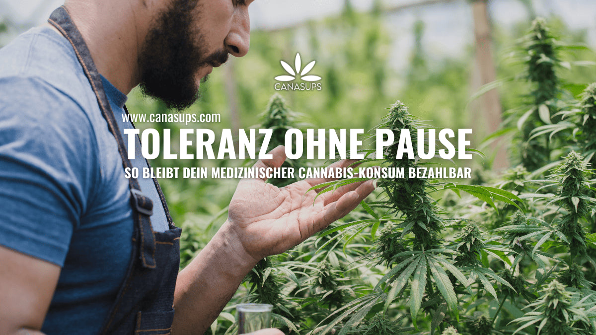 Toleranzpause für Patienten nicht möglich – trotzdem Kosten senken mit NATURE+