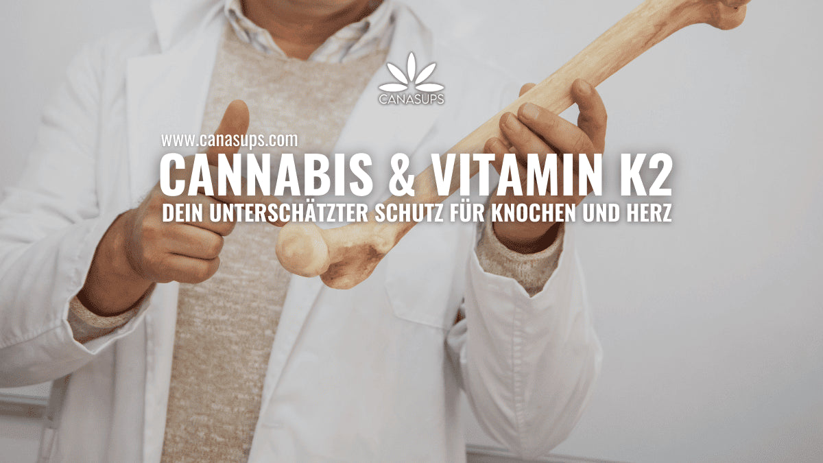 Vitamin K2 & Cannabis Warum dieses Vitamin für Konsumenten so wichtig ist