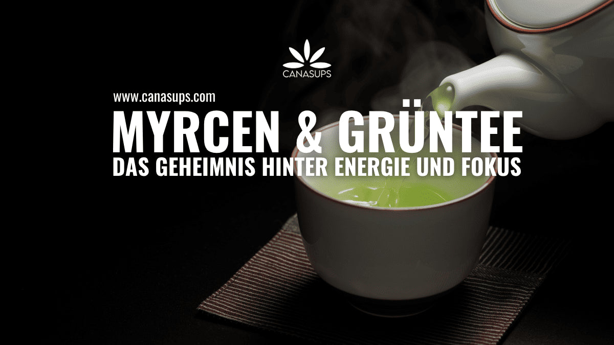 Mango+, Grüntee & Myrcen: Mehr Energie und ein intensiveres High