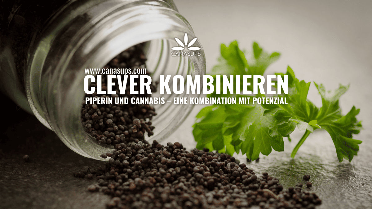Piperin & Cannabis Wie schwarzer Pfeffer deine Supplement-Routine optimieren kann