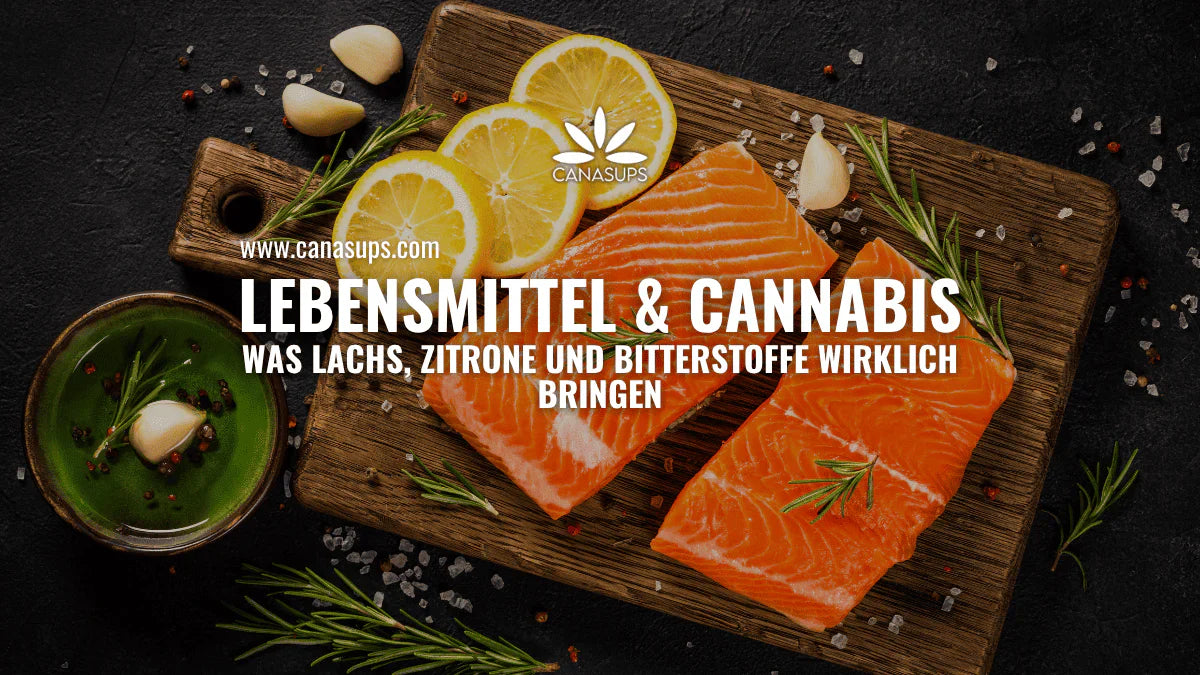 Titelbild eines Canasups-Blogartikels mit Lachsfilets, Zitronenscheiben und Kräutern auf einem Holzbrett. Text: „Lebensmittel & Cannabis – Was Lachs, Zitrone und Bitterstoffe wirklich bringen“.
