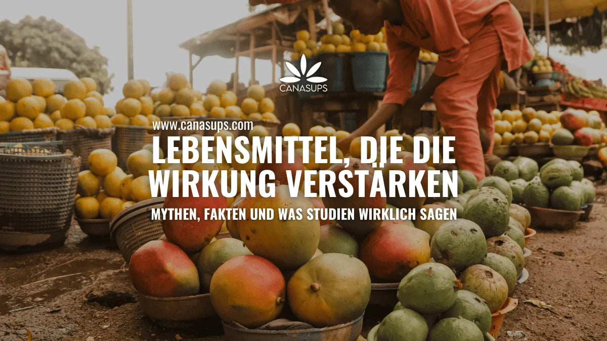 Bild von Mangos, die von einem Mann aufgestapelt werden