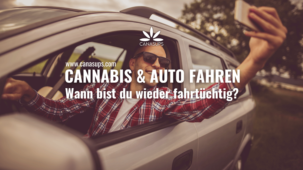 Cannabis & Auto fahren: Wann bist du wieder fahrtüchtig?