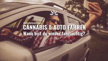 Cannabis & Auto fahren: Wann bist du wieder fahrtüchtig?