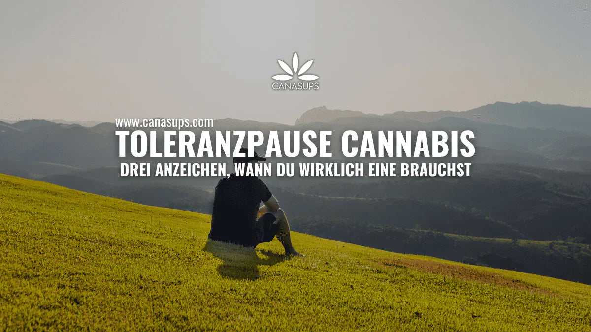 Person sitzt nachdenklich auf einer grünen Wiese mit Berglandschaft im Hintergrund