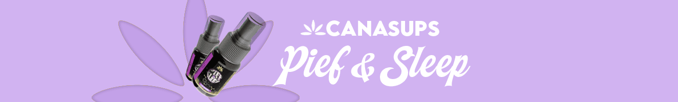 Pief_Sleep_banner_1.png