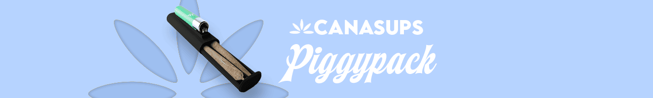 Piggypack_banner.png